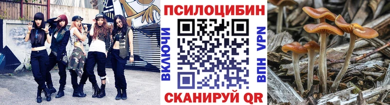 Псилоцибиновые грибы Magic Shrooms  маркетплейс официальный сайт  Зима 